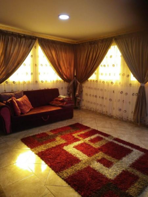 Spacious 3 bedroom Nile Apartment